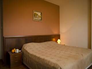 Отель Bizev Hotel Банско Двухместный номер с 1 кроватью или 2 отдельными кроватями и собственной ванной комнатой-6
