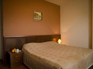 Отель Bizev Hotel Банско Двухместный номер с 1 кроватью или 2 отдельными кроватями и собственной ванной комнатой-12